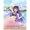Taito 約會大作戰IV Aqua Float Girls Figure 夜刀神十香 泳圈系列 景品模型 商品盒圖